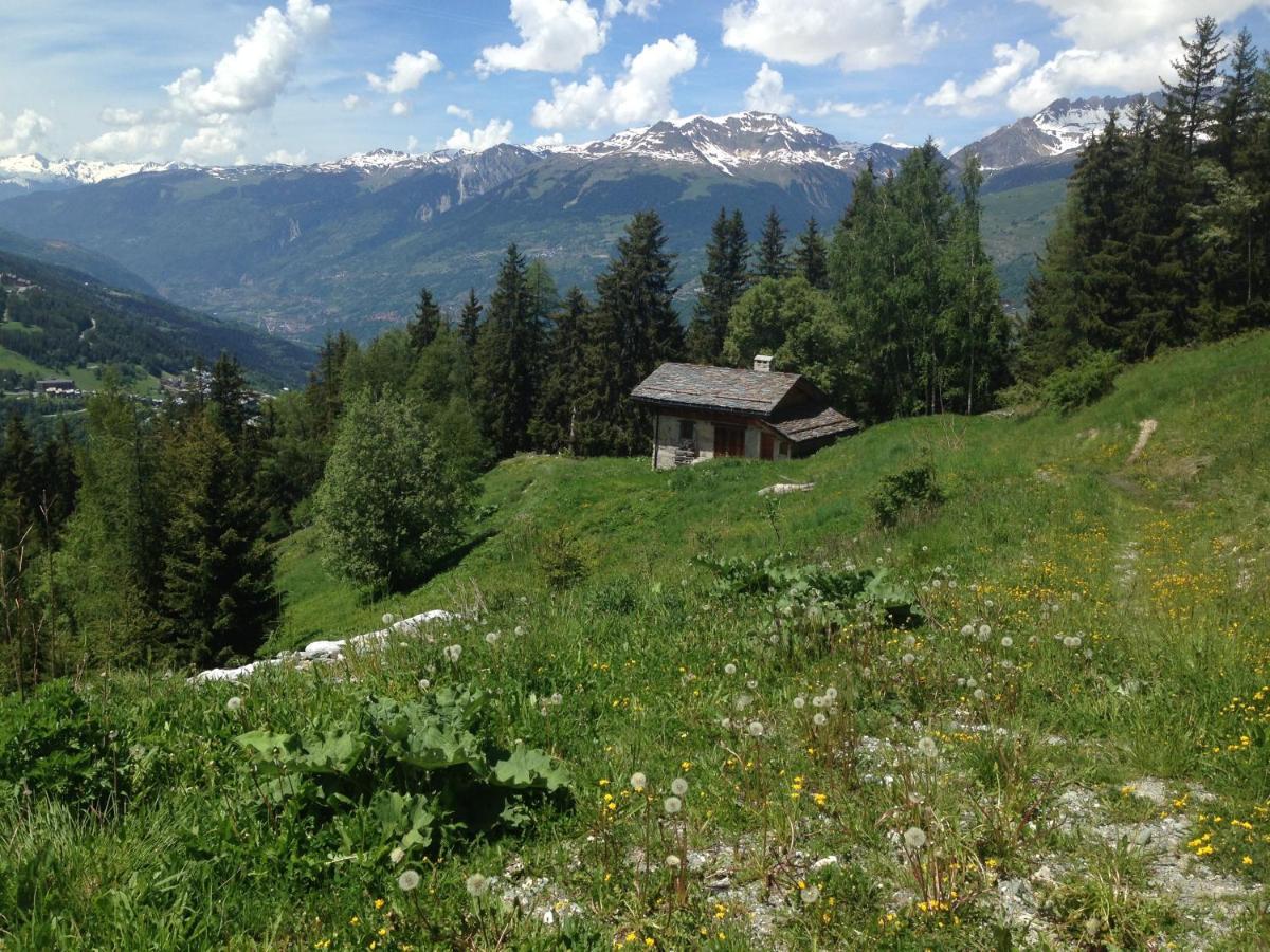 Petit Mont Blanc Villa Peisey-Nancroix Esterno foto